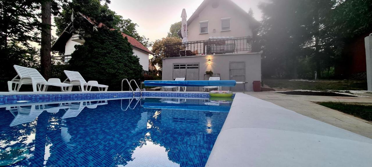 Velika Remeta Vila Sinfonia, A House With A Pool 빌라 외부 사진